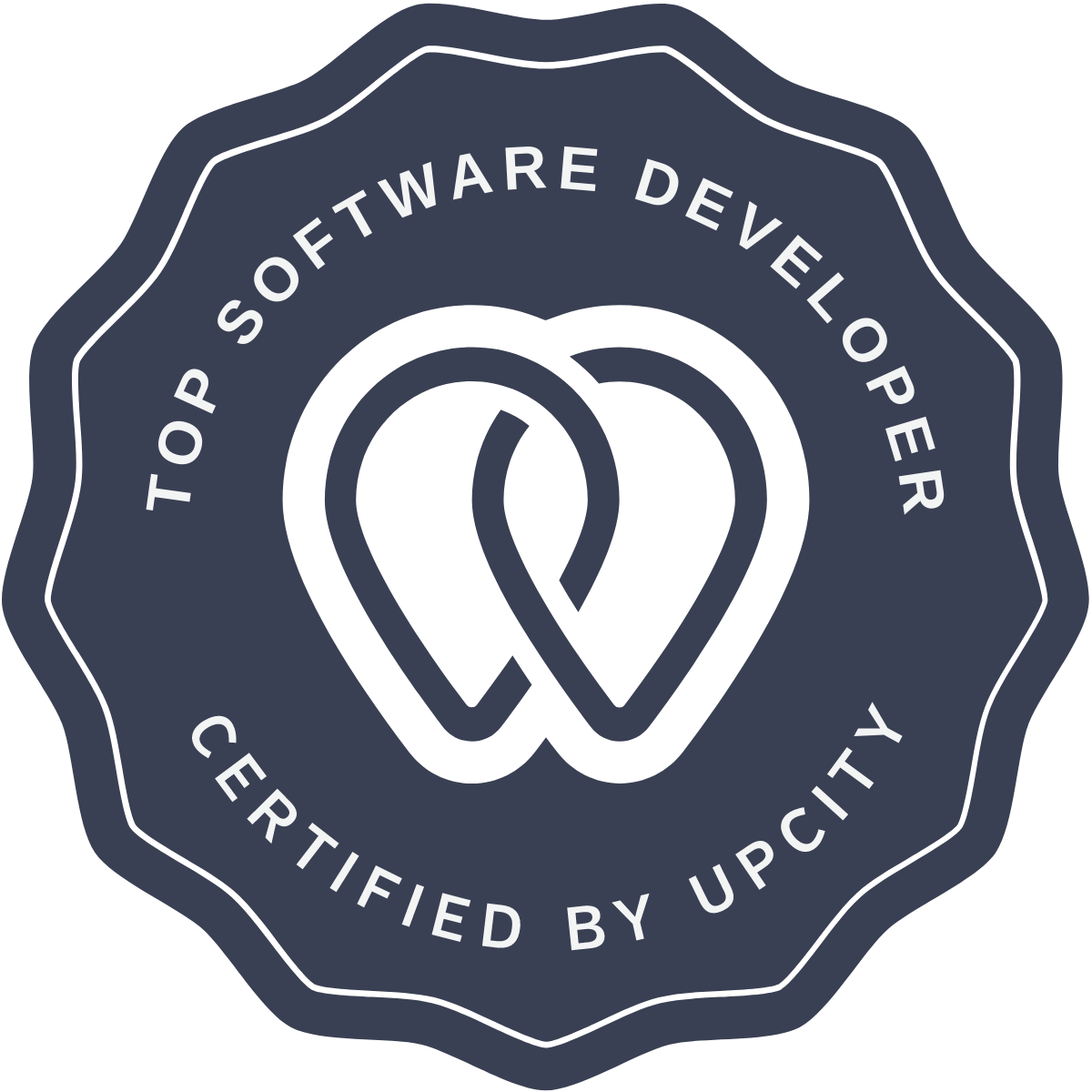 TOP SOFTWARE DEVELOPER